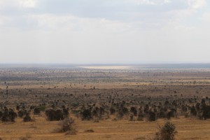 Lisa Ranch and the expansive Kapiti Plains