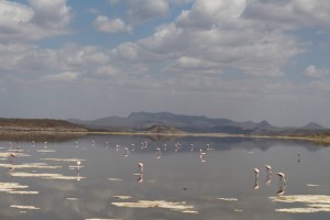 Lake Magadi as seen on the drive across the causeway towards Magadi town, and beyond